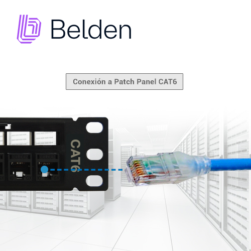 PATCH CORD UTP CAT6+ BELDEN C601106002 / INTERIOR / AZUL / 4 PARES / 24 AWG / FORRO PVC / CMR / 2 PIES 0.6 METROS
