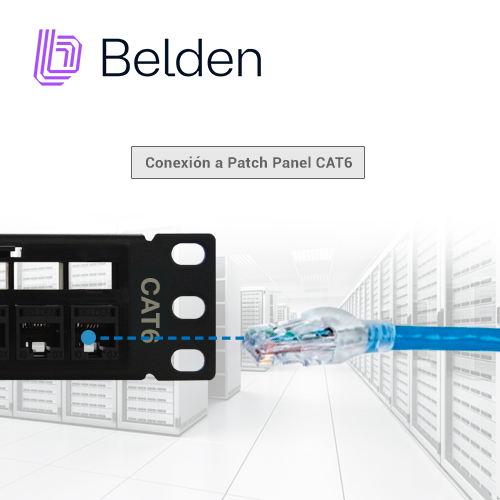 PATCH CORD UTP CAT6+ BELDEN C601106010 / INTERIOR / AZUL / 4 PARES / 24 AWG / FORRO PVC / CMR / 10 PIES 3 METROS
