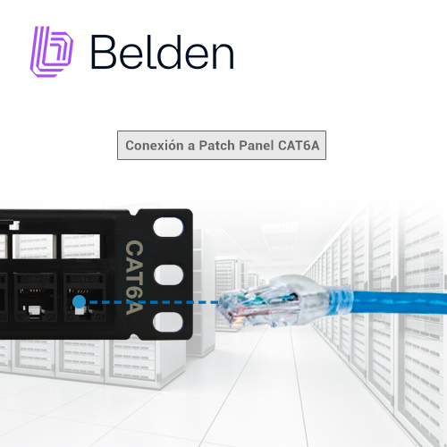 PATCH CORD UTP CAT6A BELDEN CA21106004 / INTERIOR / AZUL / 4 PARES / 24 AWG / FORRO PVC / CMR / 4 PIES 1.2 METROS